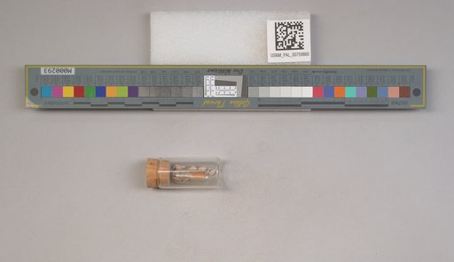 NSF ADBC EPICC TCN
