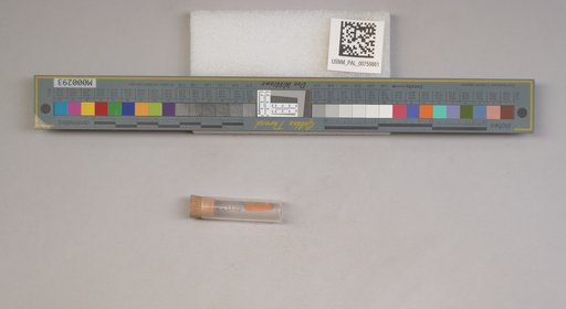 NSF ADBC EPICC TCN