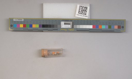 NSF ADBC EPICC TCN