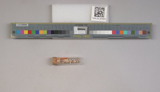 NSF ADBC EPICC TCN