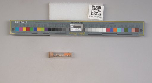 NSF ADBC EPICC TCN