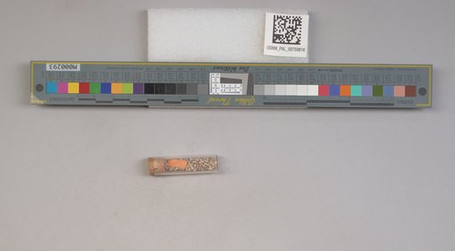 NSF ADBC EPICC TCN