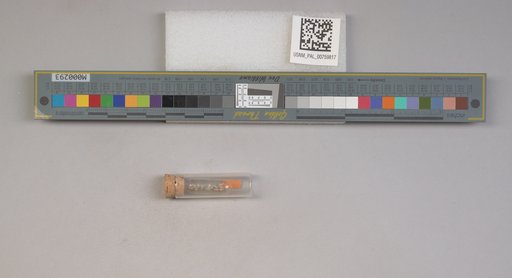 NSF ADBC EPICC TCN