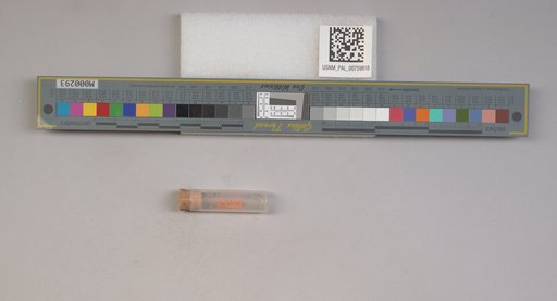 NSF ADBC EPICC TCN