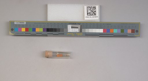 NSF ADBC EPICC TCN