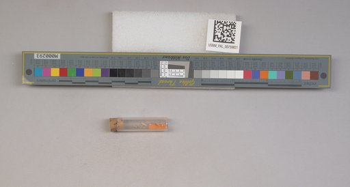 NSF ADBC EPICC TCN