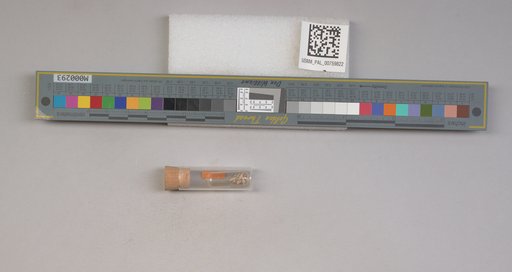 NSF ADBC EPICC TCN