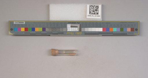NSF ADBC EPICC TCN