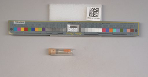 NSF ADBC EPICC TCN