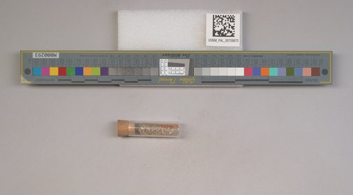 NSF ADBC EPICC TCN