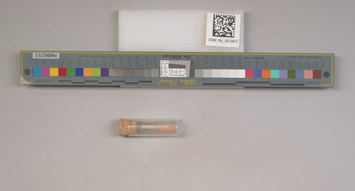 NSF ADBC EPICC TCN