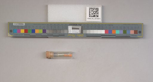 NSF ADBC EPICC TCN