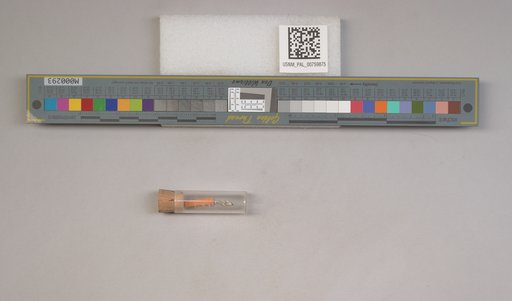 NSF ADBC EPICC TCN