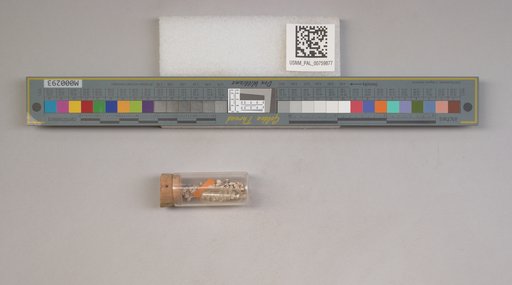 NSF ADBC EPICC TCN
