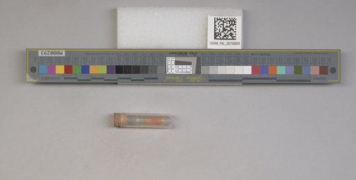 NSF ADBC EPICC TCN