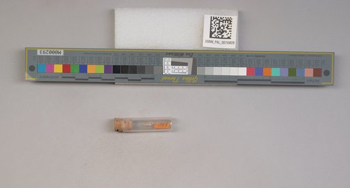 NSF ADBC EPICC TCN