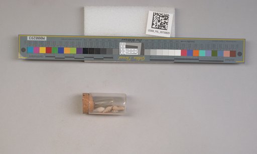 NSF ADBC EPICC TCN