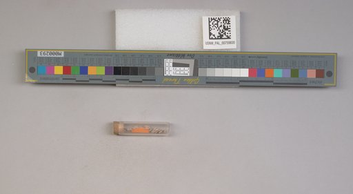 NSF ADBC EPICC TCN
