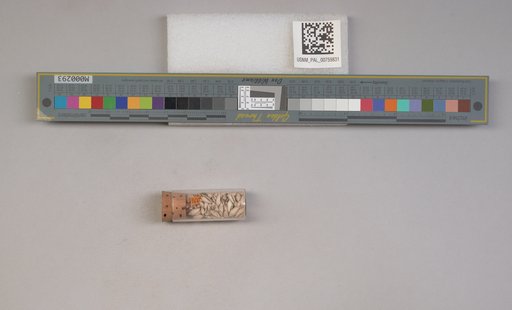 NSF ADBC EPICC TCN