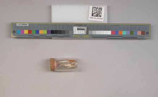 NSF ADBC EPICC TCN