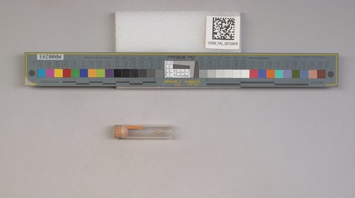 NSF ADBC EPICC TCN