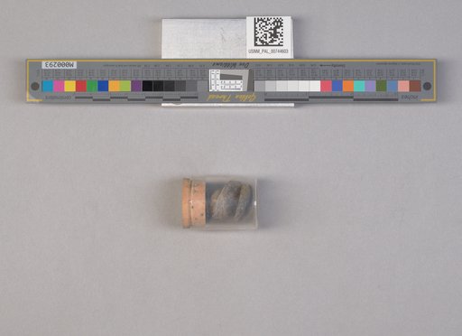 NSF ADBC EPICC TCN