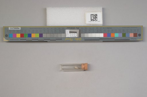 NSF ADBC EPICC TCN
