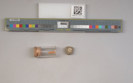 NSF ADBC EPICC TCN