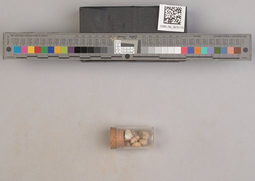 NSF ADBC EPICC TCN