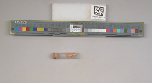 NSF ADBC EPICC TCN