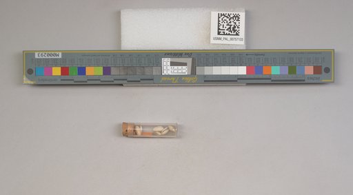 NSF ADBC EPICC TCN