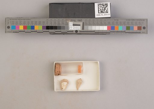 NSF ADBC EPICC TCN
