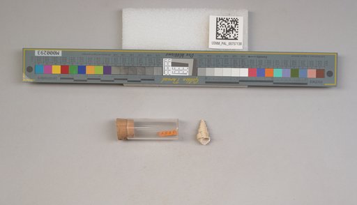 NSF ADBC EPICC TCN