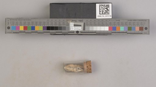 NSF ADBC EPICC TCN