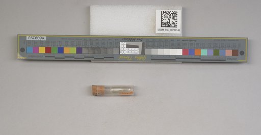 NSF ADBC EPICC TCN