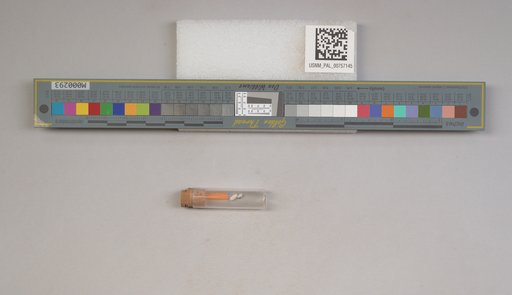 NSF ADBC EPICC TCN
