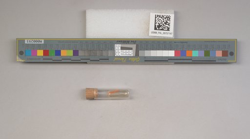 NSF ADBC EPICC TCN