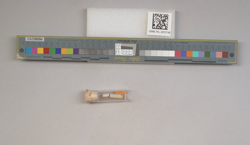 NSF ADBC EPICC TCN