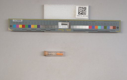 NSF ADBC EPICC TCN