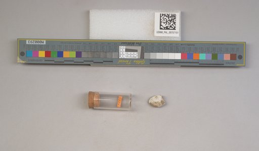 NSF ADBC EPICC TCN