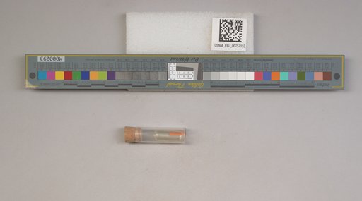NSF ADBC EPICC TCN