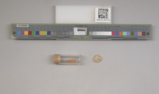NSF ADBC EPICC TCN