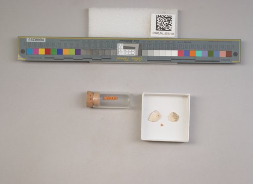 NSF ADBC EPICC TCN