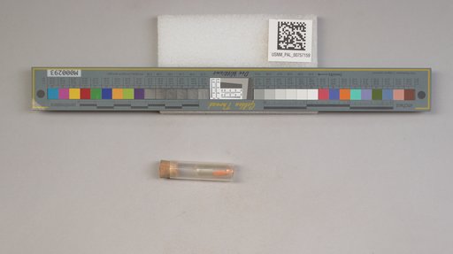 NSF ADBC EPICC TCN