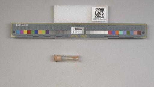 NSF ADBC EPICC TCN