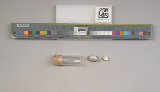 NSF ADBC EPICC TCN