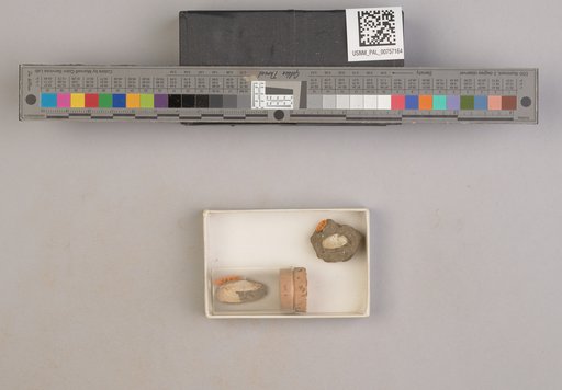 NSF ADBC EPICC TCN