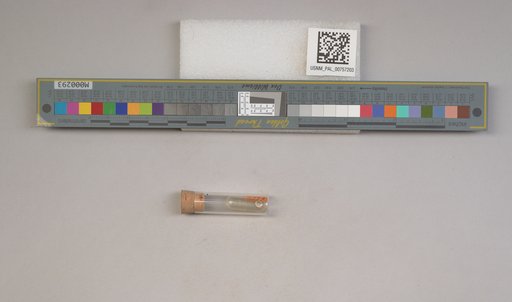 NSF ADBC EPICC TCN