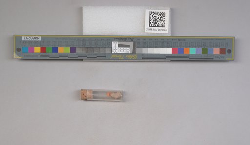 NSF ADBC EPICC TCN