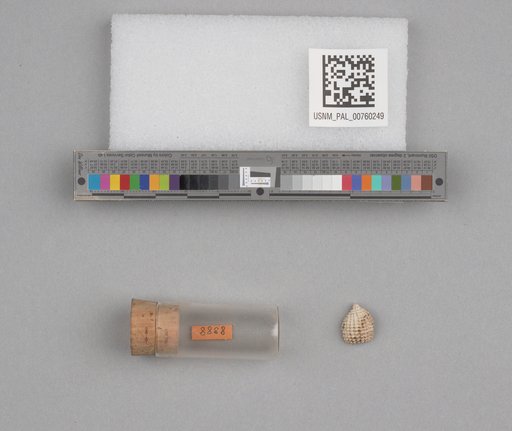 NSF ADBC EPICC TCN